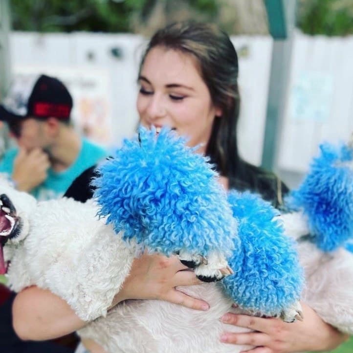 Emily laughing while holding Malibu, dyed a vivid blue for a creative-color event